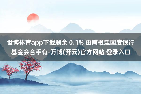 世博体育app下载剩余 0.1% 由阿根廷国度银行基金会合手有-万博(开云)官方网站 登录入口