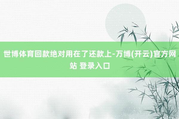 世博体育回款绝对用在了还款上-万博(开云)官方网站 登录入口