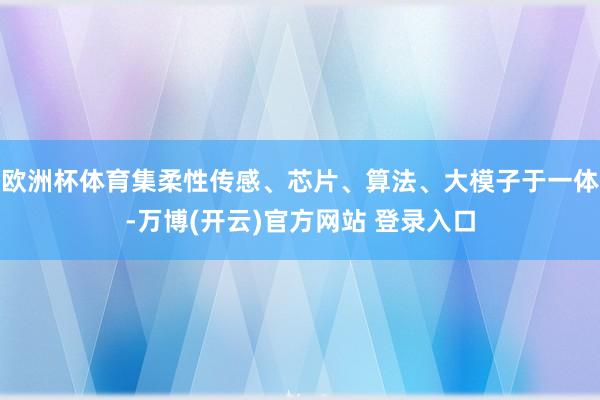 欧洲杯体育集柔性传感、芯片、算法、大模子于一体-万博(开云)官方网站 登录入口