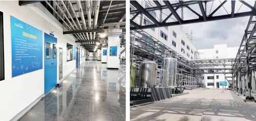 全市上半年綠色低碳高質(zhì)量發(fā)展暨招商引資重點項目現(xiàn)場觀摩綜述 三