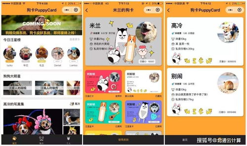 寵物商城小程序制作開發最快多久能上線