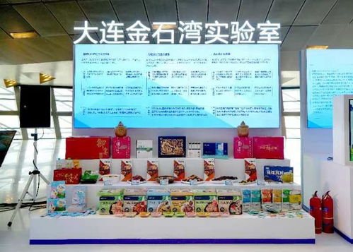 聯合研發中心掛牌成立 浩和食品聯手金石灣實驗室打造科創新平臺鳳凰網山東 鳳凰網