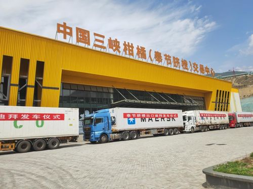 金橙飄香拓眼界 重慶奉節品牌添翼，促產業煥發新機